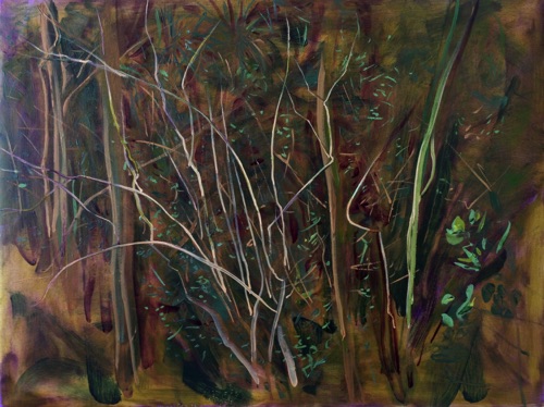 Thicket V, 24" x 32", oil on linen, SFCA collection. Thicket V, 24" x 32", oil on linen, SFCA collection.